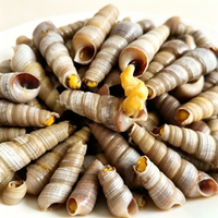 Fresh Raw Tower Snails