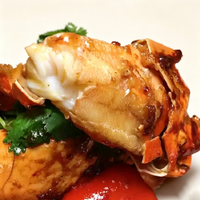 Live Male Mud Crab
