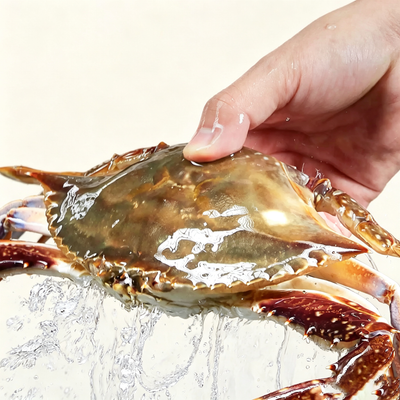 Marinated Raw Female Swimming Crab