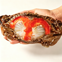 Marinated Raw Female Swimming Crab